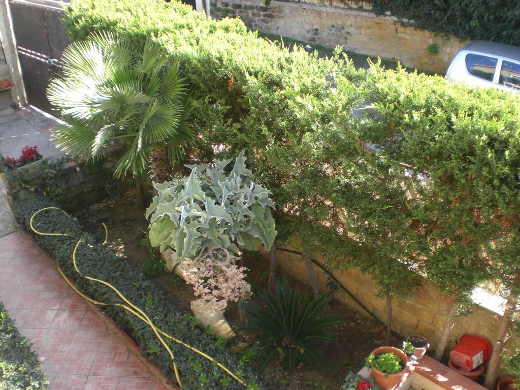 Bouganville San Leone Exteriér fotografie