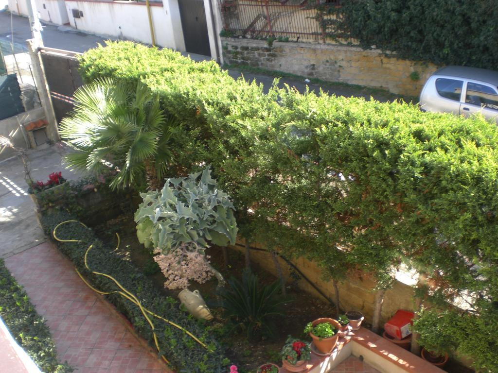 Bouganville San Leone Exteriér fotografie